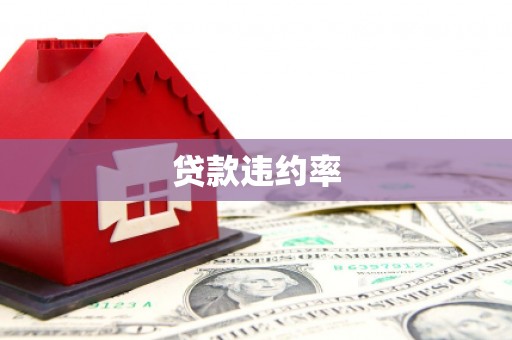 门源贷款违约率