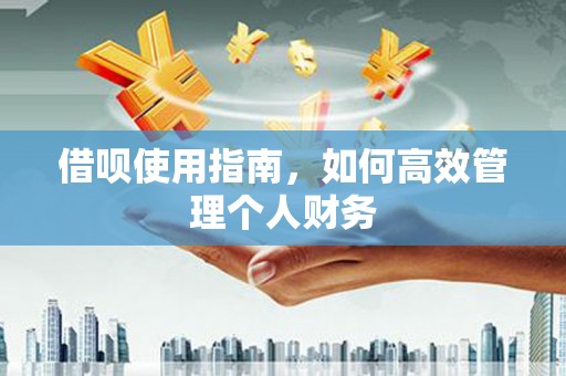 门源借呗使用指南，如何高效管理个人财务