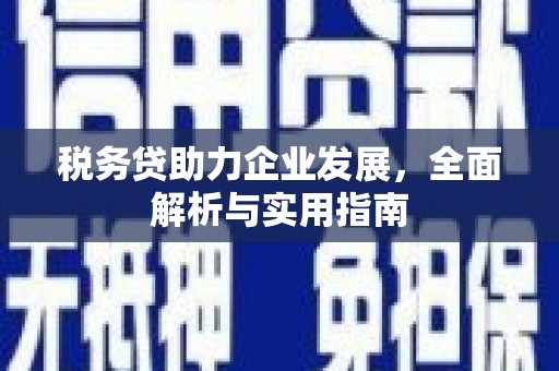 门源税务贷助力企业发展，全面解析与实用指南