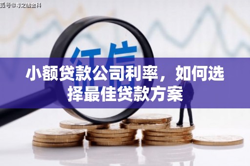 门源小额贷款公司利率，如何选择最佳贷款方案