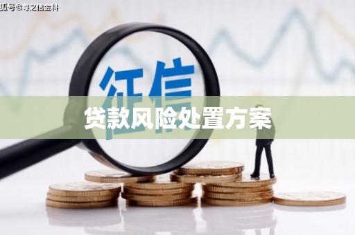 门源贷款风险处置方案