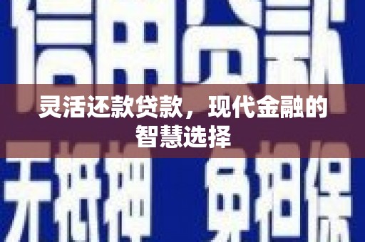 门源灵活还款贷款，现代金融的智慧选择