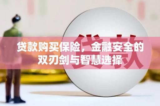 门源贷款购买保险，金融安全的双刃剑与智慧选择