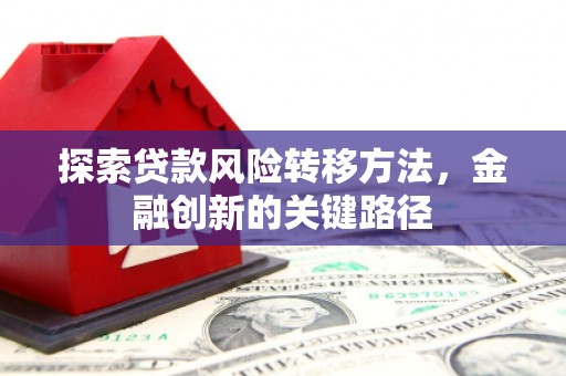 门源探索贷款风险转移方法，金融创新的关键路径