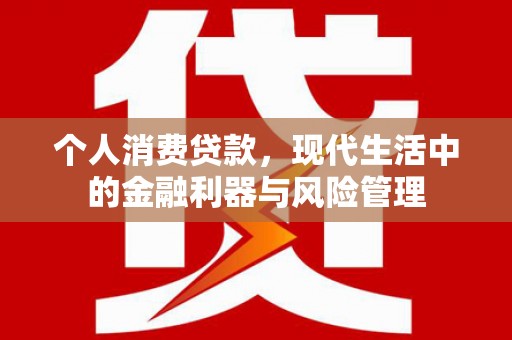 门源个人消费贷款，现代生活中的金融利器与风险管理