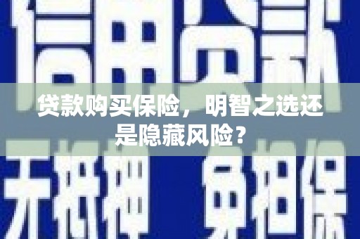 门源贷款购买保险，明智之选还是隐藏风险？