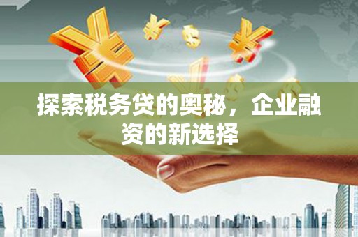 门源探索税务贷的奥秘，企业融资的新选择