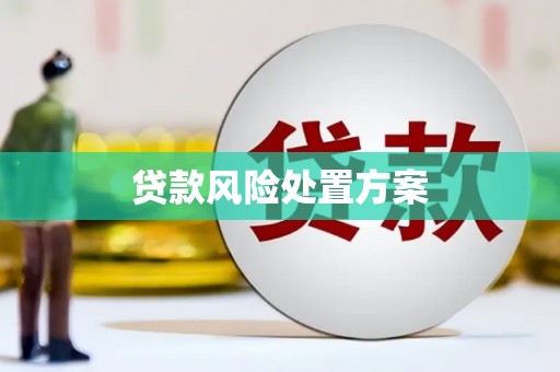门源贷款风险处置方案
