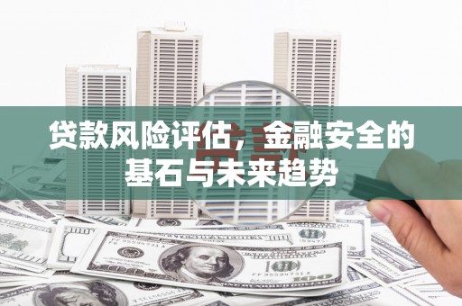 门源贷款风险评估，金融安全的基石与未来趋势
