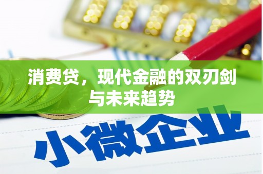 门源消费贷，现代金融的双刃剑与未来趋势