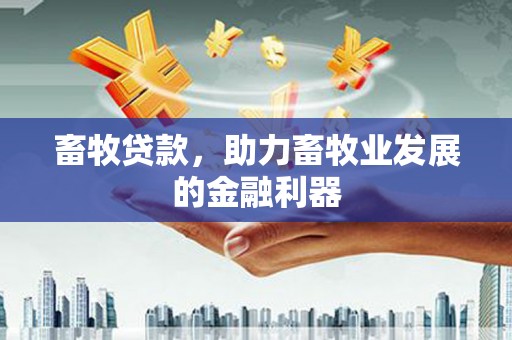 门源畜牧贷款，助力畜牧业发展的金融利器