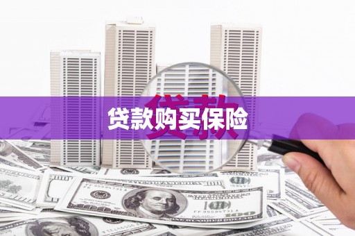 门源贷款购买保险