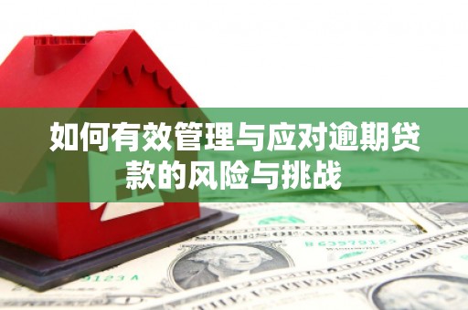 门源如何有效管理与应对逾期贷款的风险与挑战