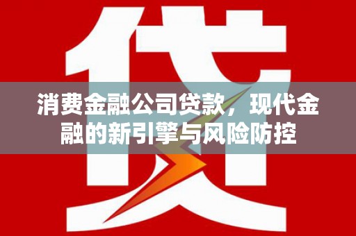 门源消费金融公司贷款，现代金融的新引擎与风险防控