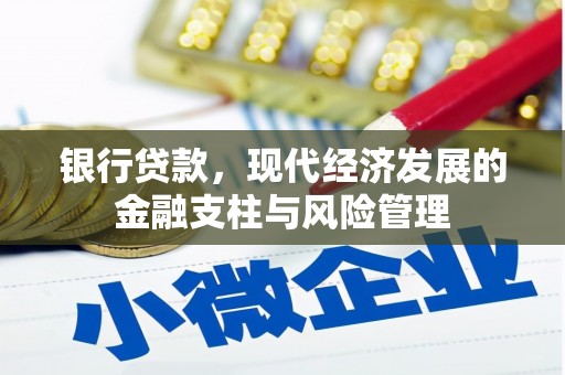 门源银行贷款，现代经济发展的金融支柱与风险管理