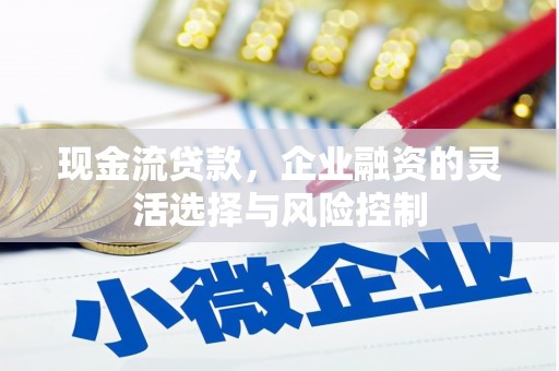 门源现金流贷款，企业融资的灵活选择与风险控制