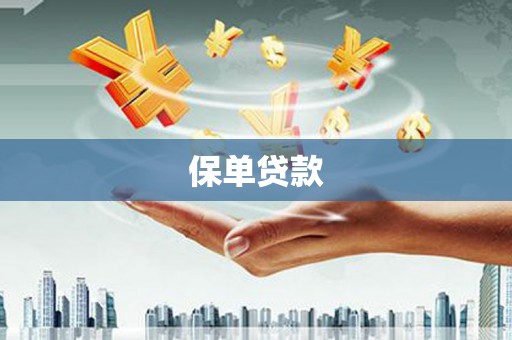 门源保单贷款
