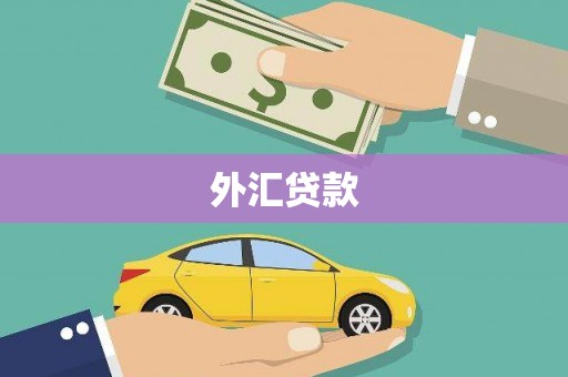 门源外汇贷款