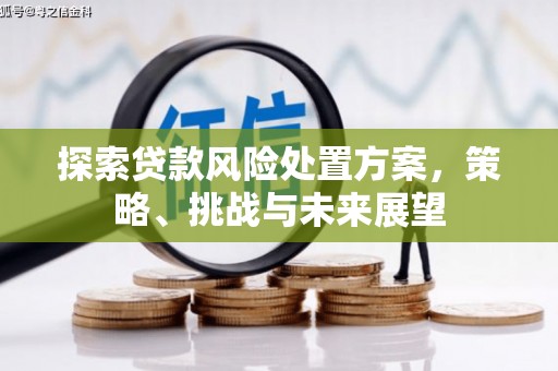 门源探索贷款风险处置方案，策略、挑战与未来展望