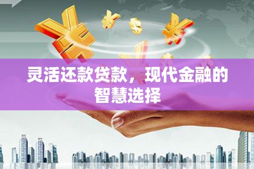 门源灵活还款贷款，现代金融的智慧选择