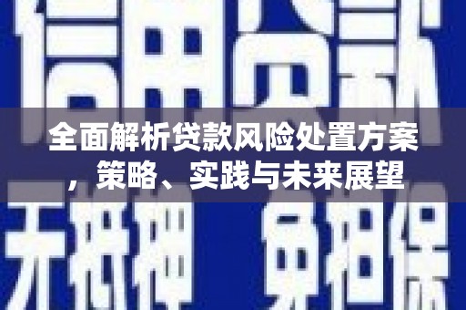 门源全面解析贷款风险处置方案，策略、实践与未来展望