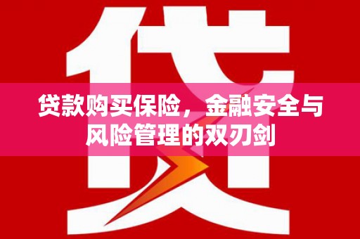 门源贷款购买保险，金融安全与风险管理的双刃剑