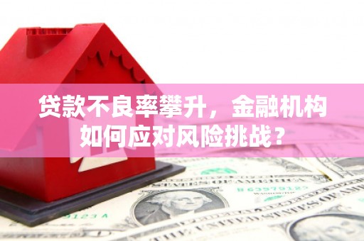 门源贷款不良率攀升，金融机构如何应对风险挑战？