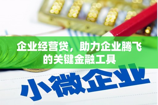 门源企业经营贷，助力企业腾飞的关键金融工具