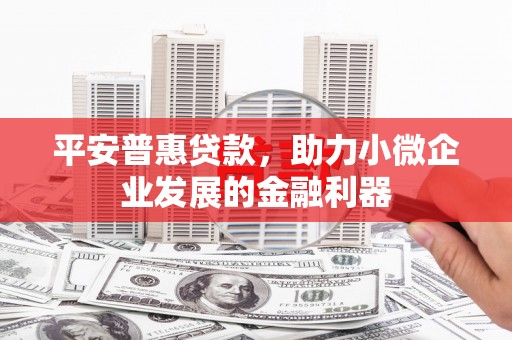 门源平安普惠贷款，助力小微企业发展的金融利器