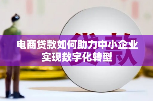门源电商贷款如何助力中小企业实现数字化转型