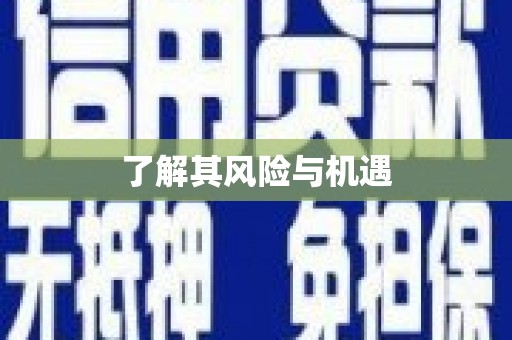 门源了解其风险与机遇