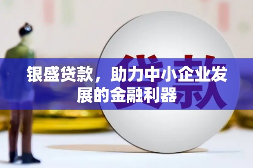 门源银盛贷款，助力中小企业发展的金融利器