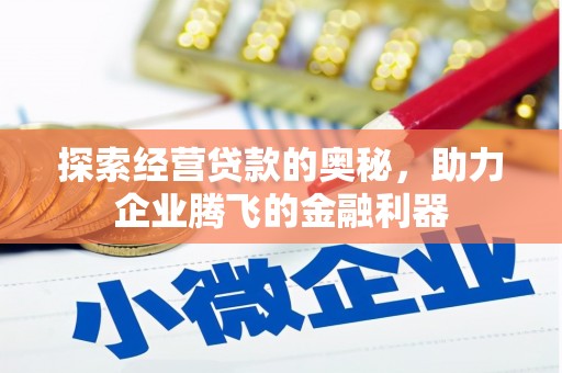 门源探索经营贷款的奥秘，助力企业腾飞的金融利器