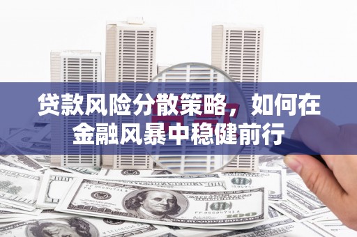 门源贷款风险分散策略，如何在金融风暴中稳健前行