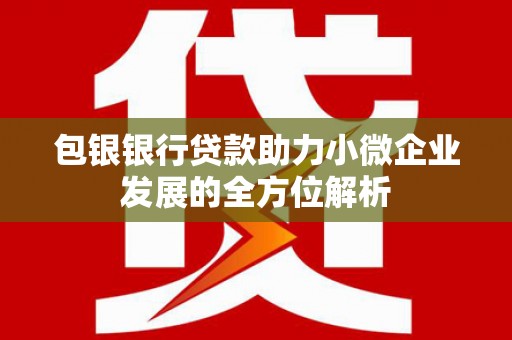 门源包银银行贷款助力小微企业发展的全方位解析