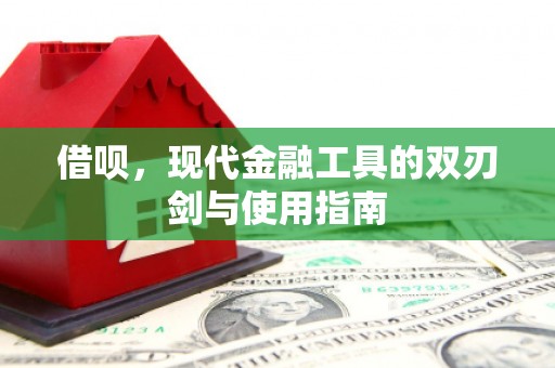 门源借呗，现代金融工具的双刃剑与使用指南