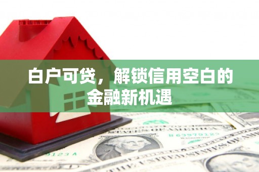 门源白户可贷，解锁信用空白的金融新机遇