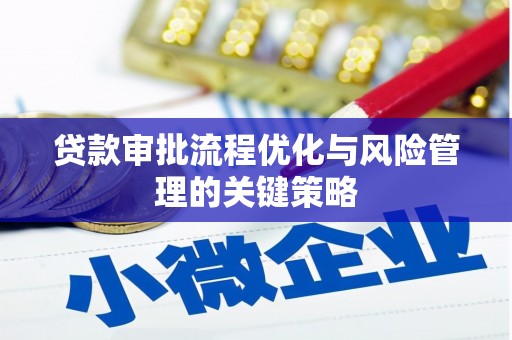 门源贷款审批流程优化与风险管理的关键策略