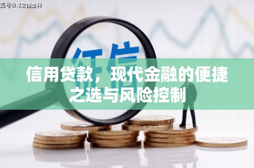 门源信用贷款，现代金融的便捷之选与风险控制