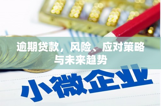 门源逾期贷款，风险、应对策略与未来趋势
