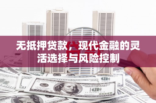 门源无抵押贷款，现代金融的灵活选择与风险控制