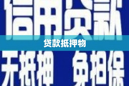 门源贷款抵押物