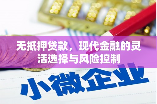 门源无抵押贷款，现代金融的灵活选择与风险控制