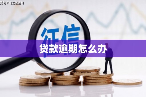 门源贷款逾期怎么办