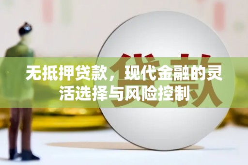 门源无抵押贷款，现代金融的灵活选择与风险控制
