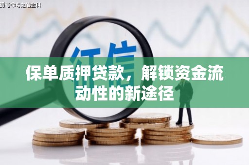 门源保单质押贷款，解锁资金流动性的新途径