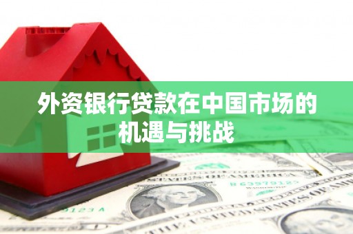 门源外资银行贷款在中国市场的机遇与挑战