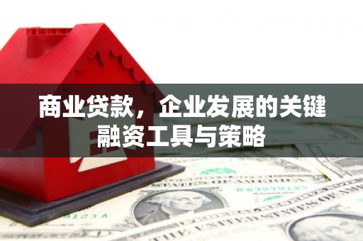 门源商业贷款，企业发展的关键融资工具与策略