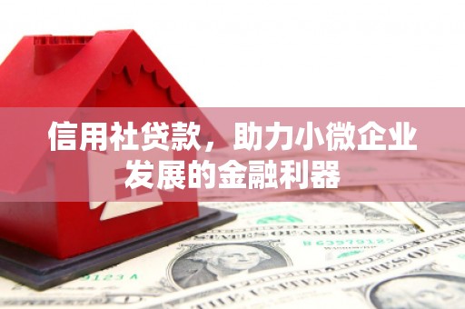 门源信用社贷款，助力小微企业发展的金融利器