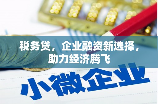 门源税务贷，企业融资新选择，助力经济腾飞